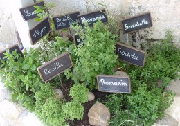 Provencial herbs